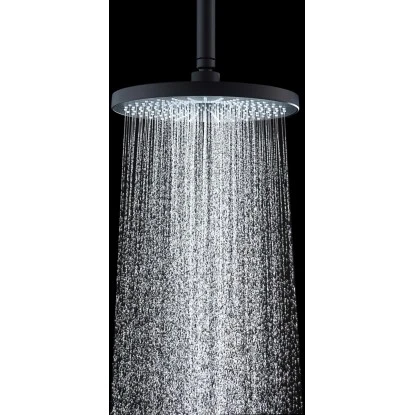 Wenko Regenduschkopf Ultimate Shower Schwarz/Grau Ø 25 cm