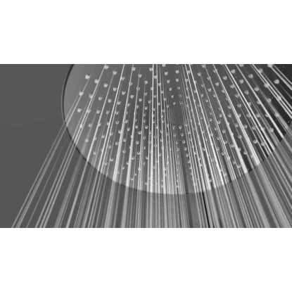 Wenko Regenduschkopf Ultimate Shower Schwarz/Grau Ø 25 cm